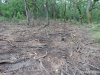 (2014.06.10) Вырубка Леса Дамзак