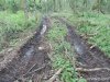 (2014.06.10) Вырубка Леса Дамзак