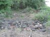(2014.06.10) Вырубка Леса Дамзак