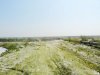 Отвалы фосфогипса на Белореченском химкомбинате