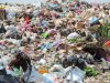 Люди без определенного места жительства за работой