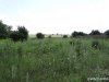 (2014.07.10) Публичные слушания по полигону ТБО в станице Холмской