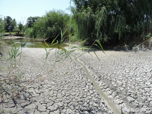 (2014.07.16) Сброс воды в низовьях Бейсуга