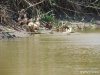 (2014.07.16) Сброс воды в низовьях Бейсуга