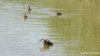 (2014.07.16) Сброс воды в низовьях Бейсуга