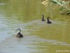 (2014.07.16) Сброс воды в низовьях Бейсуга