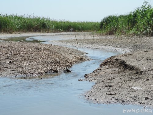 (2014.07.16) Сброс воды в низовьях Бейсуга