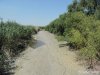 (2014.07.16) Сброс воды в низовьях Бейсуга
