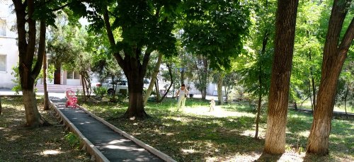 (2014.08.14) Сквер на улице Старокубанской в Краснодаре