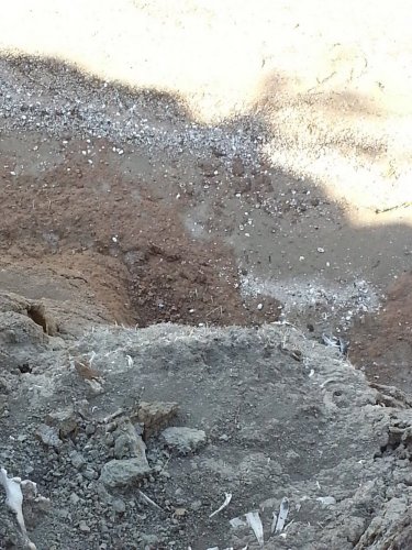 (2014.09.01) Скотомогильник, размытый Азовским морем