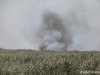 (2014.09.03) Пожары в плавнях реки Бейсуг
