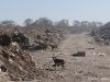 (2014.09.03) Горящая свалка в Ейском районе