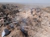 (2014.09.03) Горящая свалка в Ейском районе