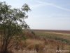 (2014.09.05) Обезвоженное озеро Ханское