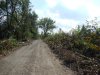 (2014.09.12) Вырубка защитной лесополосы возле хутора Эрастов