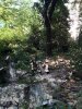 (2014.10.14) Сочи. Вырубка леса возле СГУТиКД