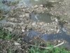 Гниющие стоки за пределами пруда-отстойника