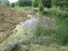 Гниющие канализационные стоки