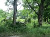 Оградительная лента между улицей Шоссейной и территорией бывших очистных