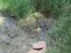 Ручеек загрязненных стоков стекает в трубу под полотном дороги