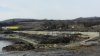 Свалка нефтесодержащих отходов ООО "Агентство "Ртутная безопасность"