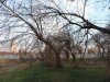 (2015.02.25) В Краснодаре огородили берег еще одного Карасунского озера