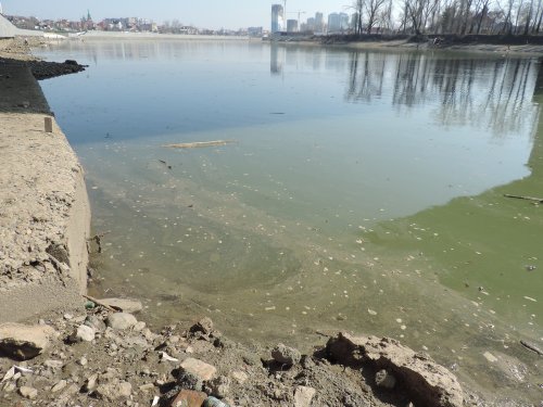 Шлейф плывущих фекалий под Тургеневским мостом