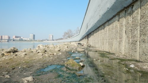 Погрязшие в нечистотах от поступающих сточных вод берега Кубани