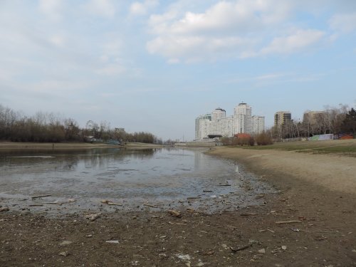 Затон образца 2015 года