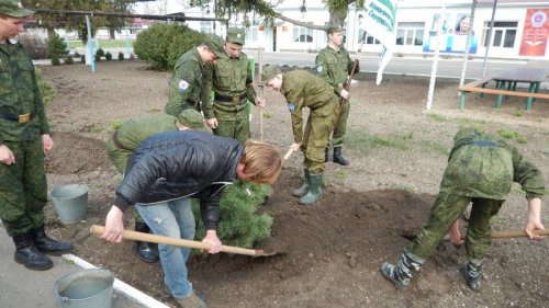 (2015.04.05) Активисты высадили рощу на берегу Бейсугского лимана