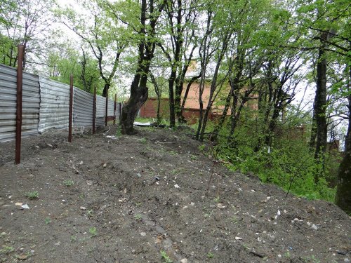 Зачищенные от леса пространства за незаконными заборами