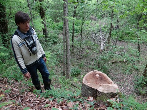 Активисты Вахты осматривают место незаконного поруба