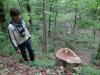 Активисты Вахты осматривают место незаконного поруба
