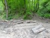 Лесной склад, куда стаскивается древесина с мест незаконных порубок леса