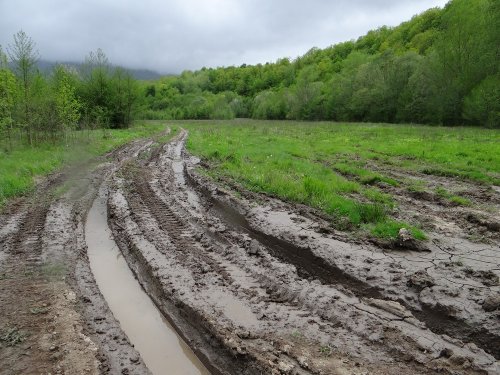 Еще одна обширная поляна в долине реки Пшиш, которая возможно в скором времени также станет карьером для "разведения рыбы"