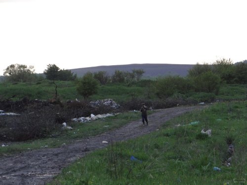 На свалку валят все подряд - от опасных отходов до обрезков деревьев