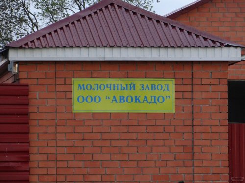 Молочный завод ООО "Авокадо"