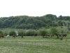 Виды в районе станицы Баракаевской