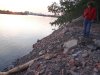На Зеленом острове идет засыпка мусором непосредственно русла реки Кубань