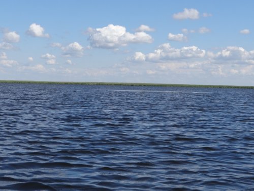 Заказник Лотос