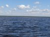 Заказник Лотос