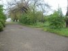 Зеленая зона в Гулькевичах, которой грозит вырубка