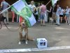 Животные тоже поддерживаю требования акции 