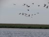 2015-06-09_Boyk-Liman_DSC08986