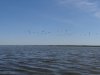 2015-06-09_Boyk-Liman_DSC08991