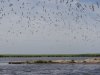 2015-06-09_Boyk-Liman_DSC09007