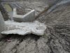 Вследствие отсутствия противоэрозионной защиты территория вокруг сбросного устройства активно размывается.Грязь течет в реку Иль
