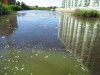 Последствия низкого уровня воды