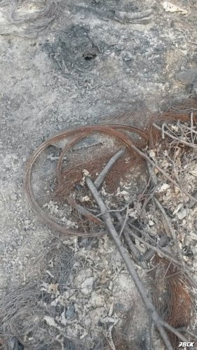 Крымский район, незаконная вырубка леса в районе хутора Верхний Адагум