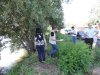 На проданной под застройку аварийной дамбе в поселке Новый (Яблоновское городское поселение)
